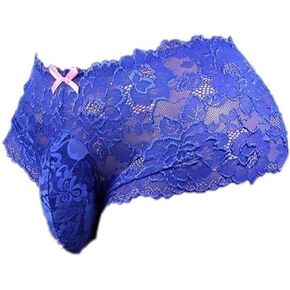 aishani Sissy Pouch Panties Men's Silky Lace Bikini Briefs Underwear For Men-ls in Saudi Arabia