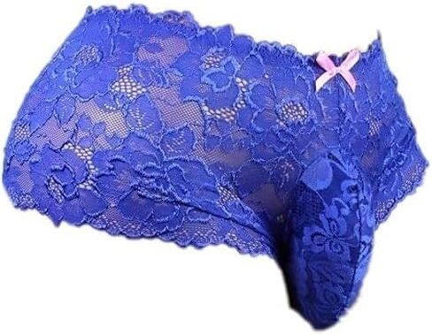 aishani Sissy Pouch Panties Men's Silky Lace Bikini Briefs Underwear For Men-ls in Kuwait