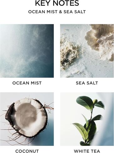 NEST New York Reed Diffuser, Reed Diffuser Liquid Refill & Liquid Soap - Bamboo in Kuwait