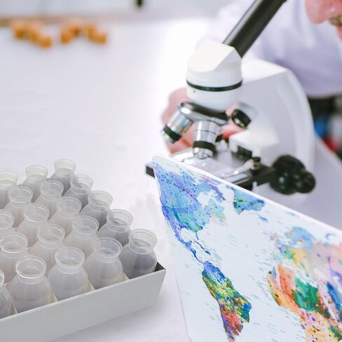 زجاجات Biologix Drosophila ، زجاجات مخزون ذبابة الفاكهة ، البولي بروبيلين (PP) ، عبوات الدرج ، أسفل الجولة ، 227 مل ، حالة 100 in Saudi Arabia