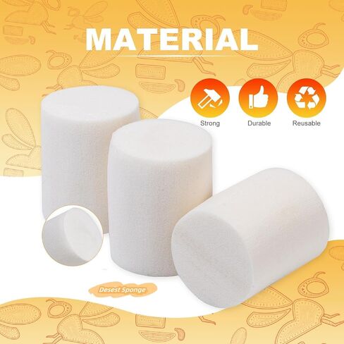 Biologix Wide Vials Plug, Densest Sponge Autoclavable Drosophila Plugs for Wide Drosophila Vials, 28 * 30mm, 1000/PACK in Kuwait