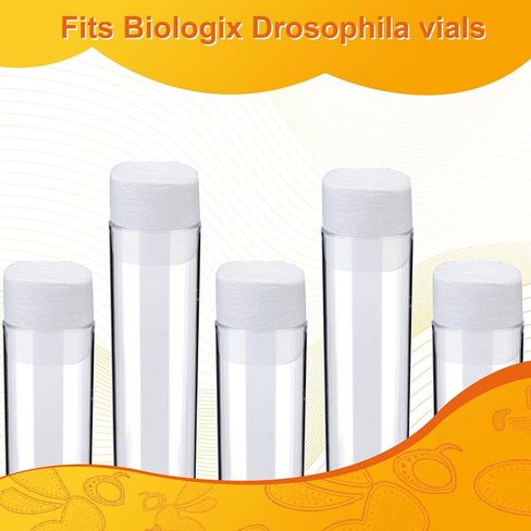 Biologix Wide Vials Plug, Densest Sponge Autoclavable Drosophila Plugs for Wide Drosophila Vials, 28 * 30mm, 1000/PACK in Kuwait