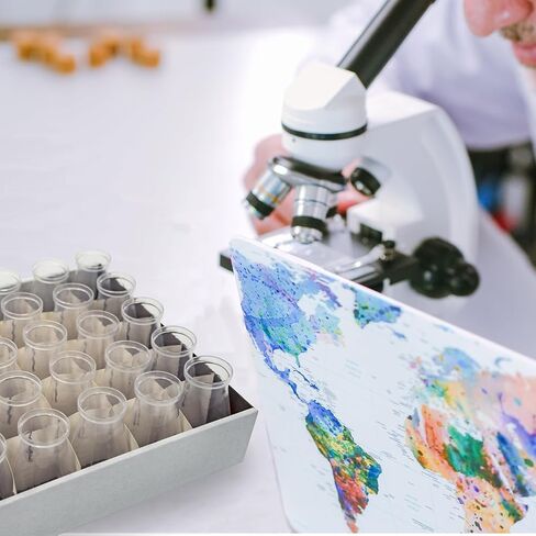 177 ml Drosophila Bottles, Polypropylene, Tray Packaging Drosophila Stock Bottles, Square Bottom, Case of 200 in Kuwait