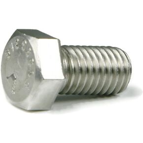 5/8 بوصة × 2 بوصة سداسي سداسي كاب المسمار 316 الفولاذ المقاوم للصدأ (الكمية: 25 PCS) 5/8-11 × 2 in Kuwait