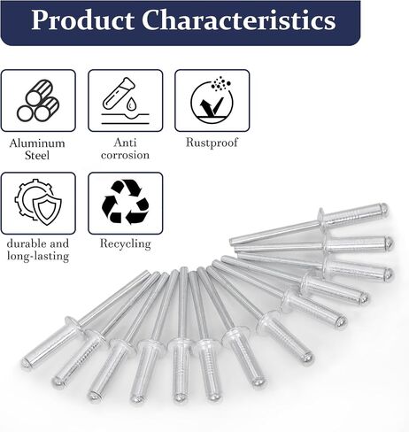 ZQZ 680pcs البوب البوب من الفولاذ المقاوم للصدأ ، 8 أحجام من المسامير غير القابل للصدأ مع 1/8 "5/32" in Saudi Arabia
