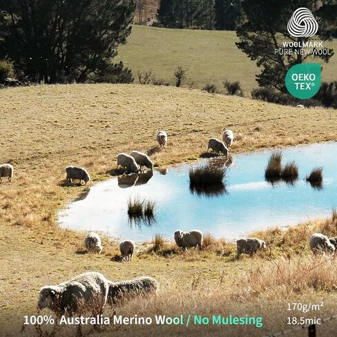 Merino Protect 100% Merino Wool T-Shirt for Men Short Sleeve Slim Fit Undershirt Soft Lightweight Tee Shirt for Travel Hiking (Large-Plus) in Kuwait