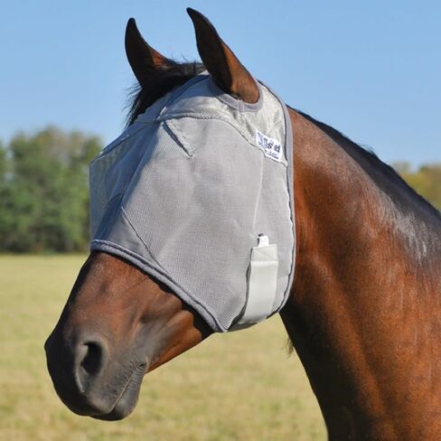 قناع ذبابة Cashel Crusader ، Standard (Pluma ، Yearling) in Kuwait