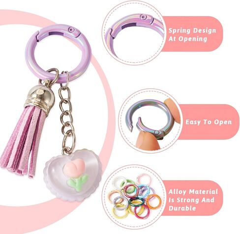Craftdady 17 PCS Heart Spring Clasp Collulfulluulfulluull Shape Shape -chiech key key Rings Cute Love Love Spring Gate Rings Snap Hook Hook Snap Snap Hooks for Base Prest -keychain Making Healsings in Kuwait