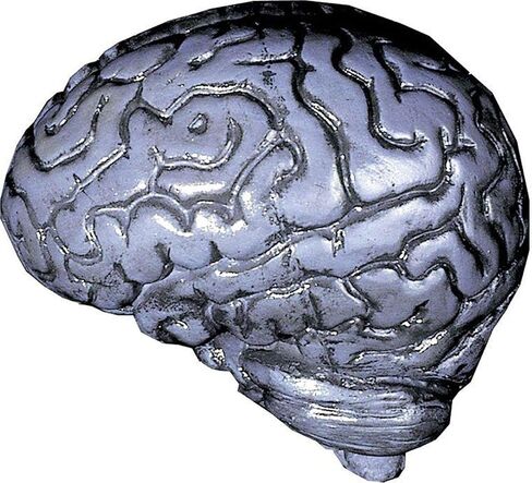 BRAIN-HUMAN GREY in Saudi Arabia