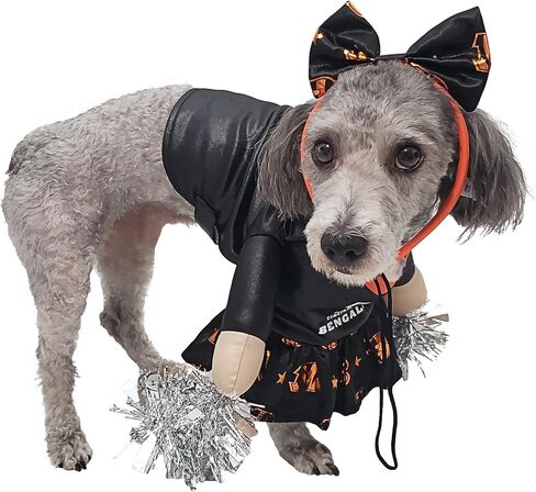 NFL Cincinnati Bengals Officially Licensed Cheer Dog Costume by MODERN HERO Includes Dress with Faux Stuffed arms and Tinsel pom-poms and Satin Bow Headband, Size S in Kuwait