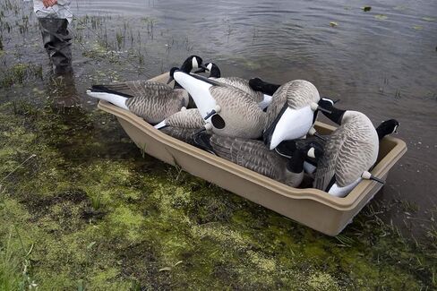 Sport Sled in Kuwait
