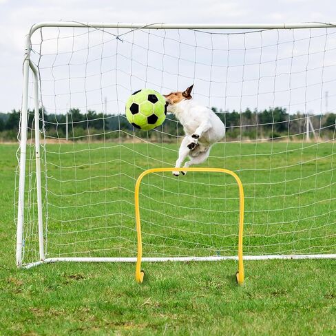 Leyndo 6 PCS Plyo Hurdles Training Equipment Practice Speed Eurdles Training Track Agility Football Basketball Baseball Plyometric for Kids Withes Indoor Outdoor Sports in Kuwait