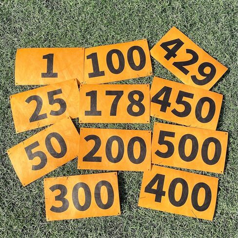 Race Bib Numbers for Tryouts,Running Bibs with Pins for Races,Marathon,Track,Field Competitor Audition Road ID Paper in Kuwait