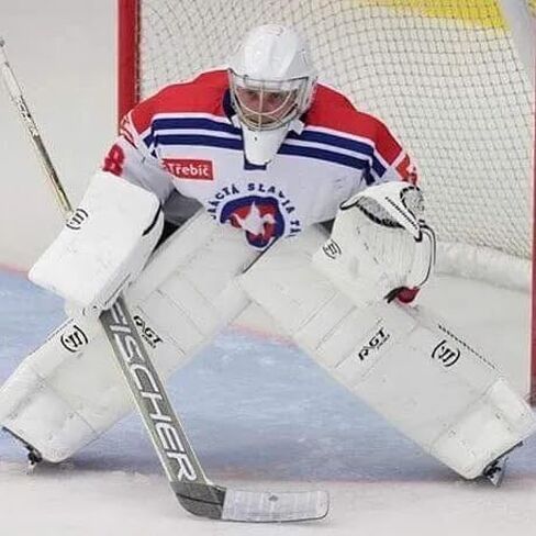 Fischer GF750 Adult Hockey Goalie Stick | Foam Injected, Carbon Blade | Senior in Saudi Arabia