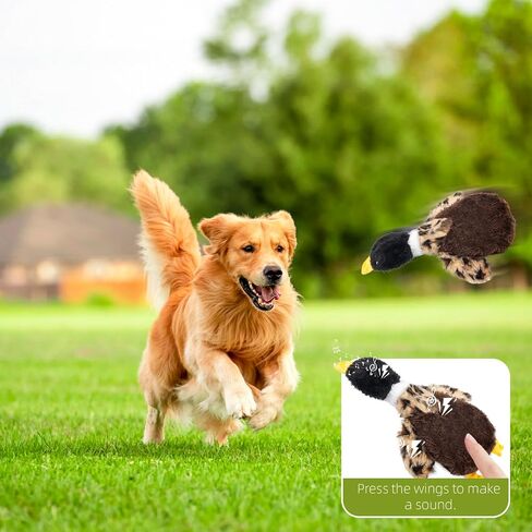 لعبة Duck Duck Dog Greenhead - طيور أفخم مع صوت تجعيد للكلاب الصغيرة والمتوسطة - لعبة تفاعلية ودائمة لللعب والتدريب in Kuwait