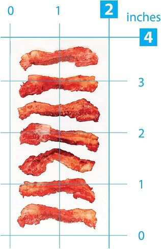 Paper House Productions ST-2246E Photo Real Stickypix Stickers, 2-Inch by 4-Inch, Bacon (6-Pack) in Saudi Arabia