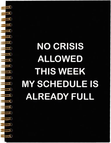 Funny Office Notebooks for Work, Sarcastic Gifts for Coworkers, I'm Sorry I Offended You By Using Facts And Logic Sign, Funny Journal, Work Humor Gifts, Hardcover Spiral Notebook 5.5 x 8.3 in Saudi Arabia