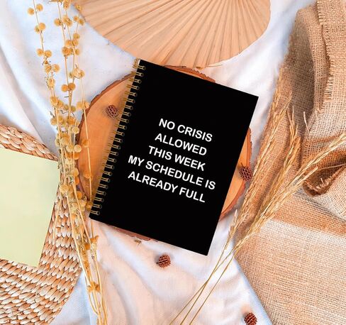 Funny Office Notebooks for Work, Sarcastic Gifts for Coworkers, I'm Sorry I Offended You By Using Facts And Logic Sign, Funny Journal, Work Humor Gifts, Hardcover Spiral Notebook 5.5 x 8.3 in Saudi Arabia