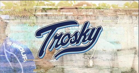 Trosky Fielding Mat Knee Pad – Endorsed by Bobby Witt Jr – Baseball & Softball Training Aid for Infielders – Improve Fielding Mechanics, Footwork & Knee Work – Youth to Pro in Saudi Arabia