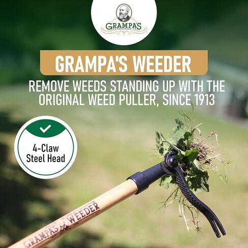 GRAMPA'S WEEDER - أداة مستحضر الأعشاب الأصلية مع مقبض طويل - مصنوع من تصميم رأس من الخيزران الحقيقي و 4 مخلب - إزالة الأعشاب الضارة دون الانحناء أو السحب أو الركوع. in Saudi Arabia