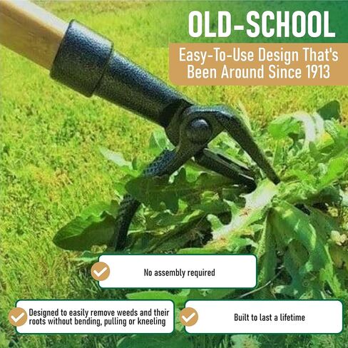 GRAMPA'S WEEDER - أداة مستحضر الأعشاب الأصلية مع مقبض طويل - مصنوع من تصميم رأس من الخيزران الحقيقي و 4 مخلب - إزالة الأعشاب الضارة دون الانحناء أو السحب أو الركوع. in Saudi Arabia