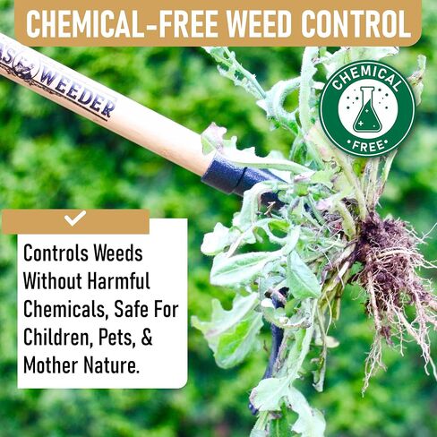 GRAMPA'S WEEDER - أداة مستحضر الأعشاب الأصلية مع مقبض طويل - مصنوع من تصميم رأس من الخيزران الحقيقي و 4 مخلب - إزالة الأعشاب الضارة دون الانحناء أو السحب أو الركوع. in Saudi Arabia