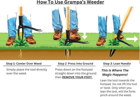 GRAMPA'S WEEDER - أداة مستحضر الأعشاب الأصلية مع مقبض طويل - مصنوع من تصميم رأس من الخيزران الحقيقي و 4 مخلب - إزالة الأعشاب الضارة دون الانحناء أو السحب أو الركوع. in Saudi Arabia