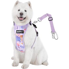 Dog Vehicle Safety Vest Harness, Adjustable Soft Padded Mesh Car Seat Belt Leash Harness with Travel Strap and Carabiner for Most Cars, Size Extra Large, Black