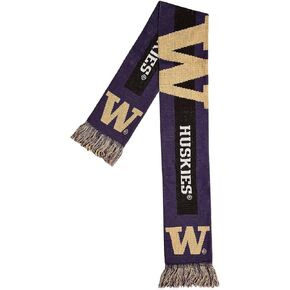 FOCO NCAA unisex-adult 2016 Big Logo Scarf