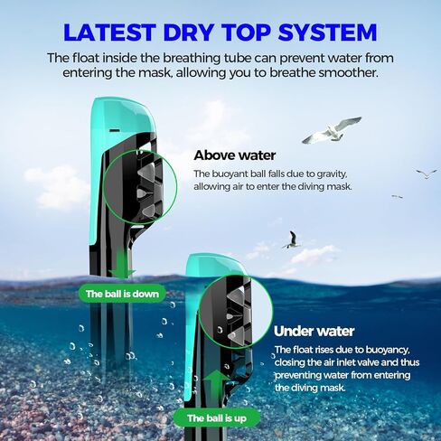 Full Face Snorkel Mask for Adults, Snorkeling Gear for Kids, Anti-Fog & Anti-Leak Design with 180° Panoramic View, Dry Top Breathing System, Ideal for Scuba Diving, Snorkeling in Saudi Arabia