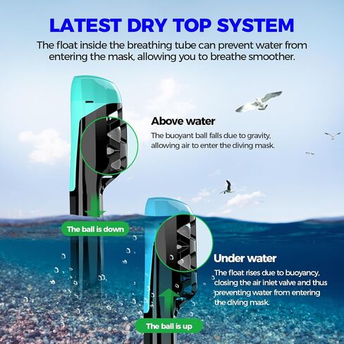 Full Face Snorkel Mask for Adults, Snorkeling Gear for Kids, Anti-Fog & Anti-Leak Design with 180° Panoramic View, Dry Top Breathing System, Ideal for Scuba Diving, Snorkeling in Saudi Arabia