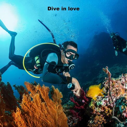 Magnetic Shark Deterrent Band - Diving Gear & Surfing Accessory | Shark Repellent for Swimming, Snorkeling and All Ocean Sports in Saudi Arabia