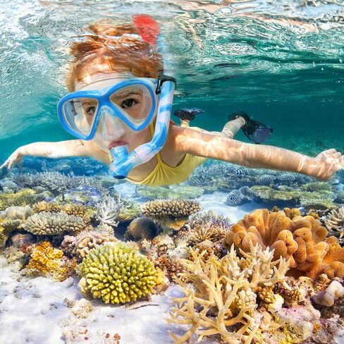 مجموعتان معدات الغطس للأطفال ، تم تعيين كيدز على سن 6-14 ، قناع Snorkel Dry Top for Youth Boys Girls ، in Kuwait