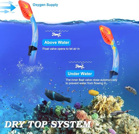 مجموعتان معدات الغطس للأطفال ، تم تعيين كيدز على سن 6-14 ، قناع Snorkel Dry Top for Youth Boys Girls ، in Kuwait