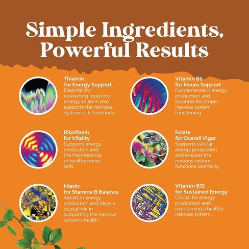 Vegan Vitamin B Complex Liquid - 9-in-1 Liquid B Complex Vitamins for Women & Men with B1 B2 B3 B5 B6 B7 Folate Methyl B12 Plus Vitamin C - Super Concentrated Non GMO & Naturally Flavored (120svg) in Saudi Arabia