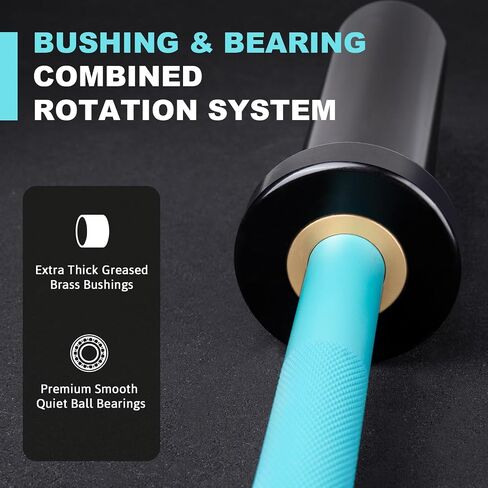 LIONSCOOL Premium 4ft/4.9ft/6ft Barbell for Strength Training and Olympic Weightlifting, 2 Inch Bar for Squats, Curls, Deadlifts, Presses, Hip Thrusts, 350lbs/500lbs/700lbs Weight Capacity in Saudi Arabia