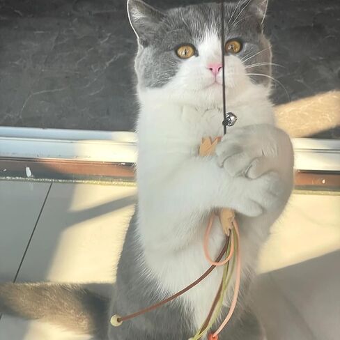 IUHKBH CAT WANDS ، 2 PCS جذابة صولج زهرة مضفر مع بيل تفاعلية ألعاب هريرة العصا ، عصا القط الآمنة لجميع أحجام السلالات in Kuwait