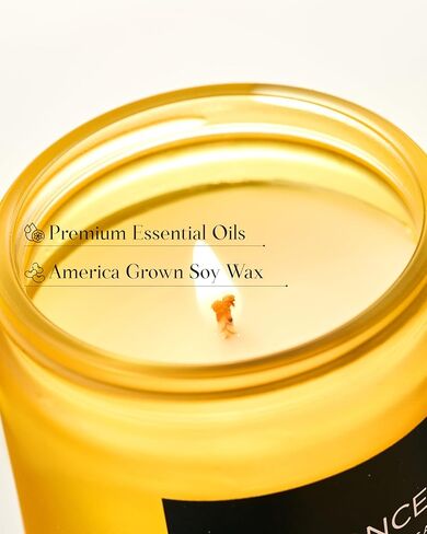 M&SENSE Summer's Night Scented Candle, 11.6oz Natural Soy Jar Candle for Home, Medium 2 Wick Candle Gifts for Men, Up to 70 Hours Burn time, Manly Candles for Bedroom in Kuwait