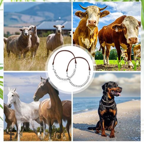 خاطئ 4 PCS GOAT SHOW TWALAR IRONALAL CARNAY سلسلة الرسن 14 '' '-24' 'long for sheep horse dog cow calf farm supplies supplies gift animal lovers (14' '، brown) in Saudi Arabia