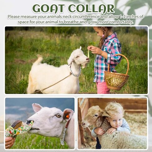 خاطئ 4 PCS GOAT SHOW TWALAR IRONALAL CARNAY سلسلة الرسن 14 '' '-24' 'long for sheep horse dog cow calf farm supplies supplies gift animal lovers (14' '، brown) in Saudi Arabia