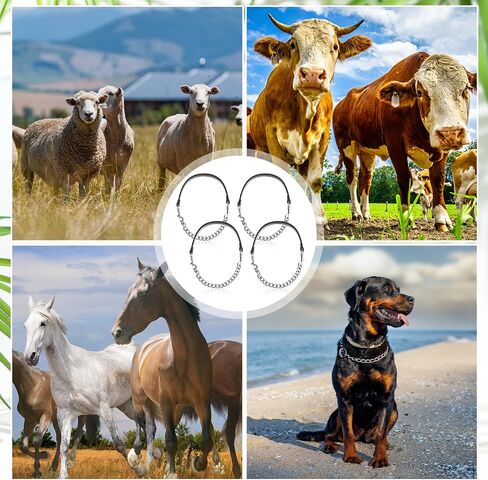 خاطئ 4 PCS GOAT SHOW TWALAR IRONALAL CARNAY سلسلة الرسن 14 '' '-24' 'long for sheep horse dog cow calf farm supplies supplies gift animal lovers (14' '، brown) in Saudi Arabia