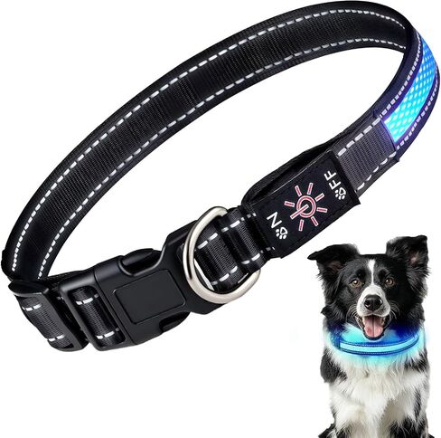 LED Light Up Dog Collar: Rechargeable Waterproof Safety Collars for Dogs During Night Walking - Glow in The Dark Lights for Pet Flashing Gear - Best Glowing Neon Lighted USB Accessories at Nite Time in Saudi Arabia