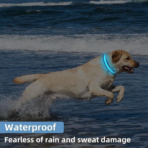 LED Light Up Dog Collar: Rechargeable Waterproof Safety Collars for Dogs During Night Walking - Glow in The Dark Lights for Pet Flashing Gear - Best Glowing Neon Lighted USB Accessories at Nite Time in Saudi Arabia