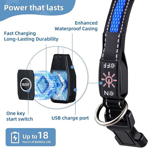 LED Light Up Dog Collar: Rechargeable Waterproof Safety Collars for Dogs During Night Walking - Glow in The Dark Lights for Pet Flashing Gear - Best Glowing Neon Lighted USB Accessories at Nite Time in Saudi Arabia
