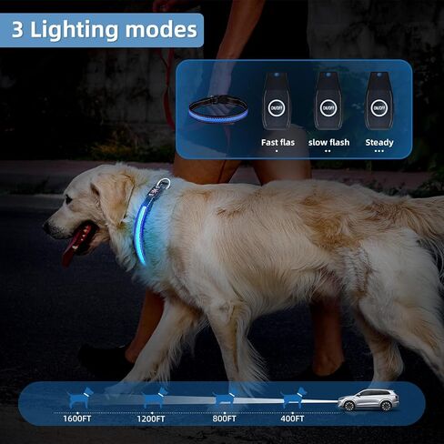 LED Light Up Dog Collar: Rechargeable Waterproof Safety Collars for Dogs During Night Walking - Glow in The Dark Lights for Pet Flashing Gear - Best Glowing Neon Lighted USB Accessories at Nite Time in Saudi Arabia