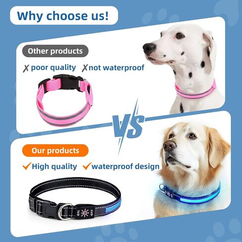 LED Light Up Dog Collar: Rechargeable Waterproof Safety Collars for Dogs During Night Walking - Glow in The Dark Lights for Pet Flashing Gear - Best Glowing Neon Lighted USB Accessories at Nite Time in Saudi Arabia