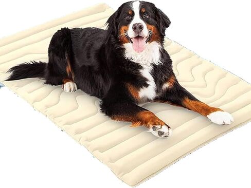 Summer Pet Cooling Ice Pad，Suitable for Cat and Dog Cooling Pads，A Must-Have Pet Mat for Beaches, Camping, and Travel (Off White, Small) in Saudi Arabia