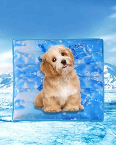 Summer Pet Cooling Ice Pad，Suitable for Cat and Dog Cooling Pads，A Must-Have Pet Mat for Beaches, Camping, and Travel (Off White, Small) in Saudi Arabia