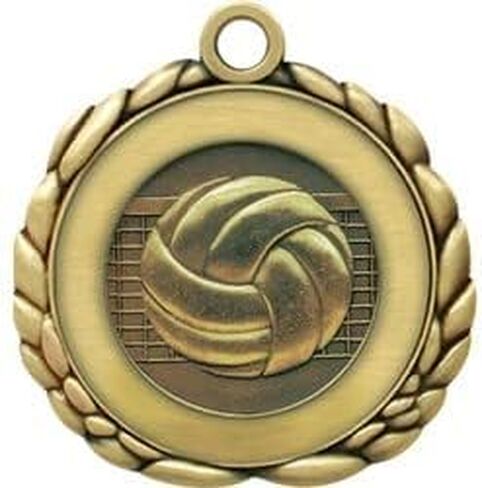 2.5 in. Quali Craft Volleyball Medallion in Saudi Arabia
