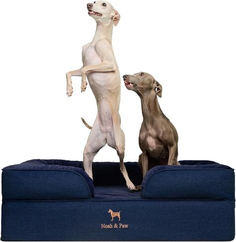 NOAH & PAW Small Dog Bed, 20x15x8 Inch, Cat Bed for Indoor Cats, Orthopedic Eggshell Memory Foam Infused with Cooling Gel, Waterproof Inner Cover Machine Washable (Denim Collection) in Kuwait